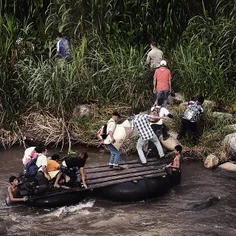 Central American immigrants hide in the bush on the Mexic