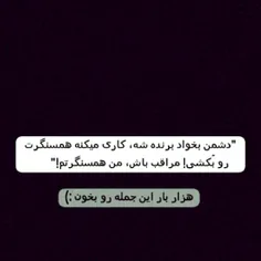 میگیری که چی میگم همسنگر؟!💔