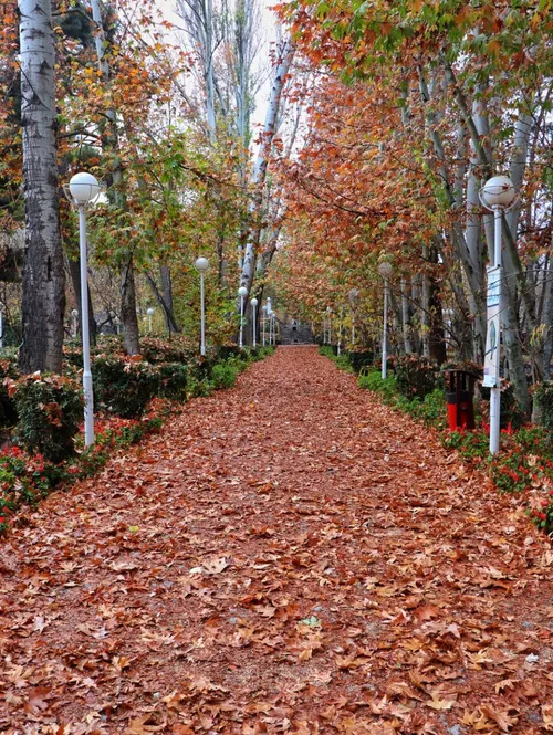 خوش اومدی پاییز جان 🍁 😍 🍁