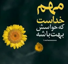 گوناگون hastm_hanooz 26946683