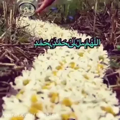 🌹ذکر روز جمعه