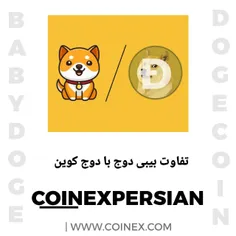 تفاوت دوج کوین و بیبی دوج