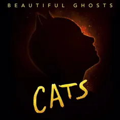 تک آهنگBeautifulGhostsکه برای فیلم Cats هست، فردا ساعت ۸: