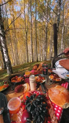 🍁یک نفر در رو برای حضرت پاییز وا کنه🍂