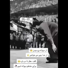 دیوانگی ما هم عالمی دارد 🖤🖤🥀🥀