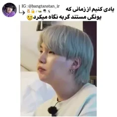 گربه چو گربه بیند خوشش آید😂🥺