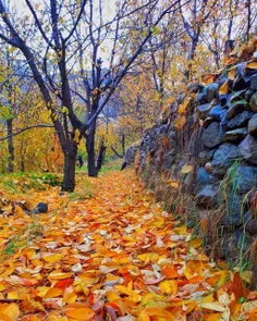 صبح‌ها
صبح بخیرتان را بلندتر بگویید... 
بگذارید زندگی جریان پیدا کند
در رگ‌های خشک شدهٔ دنیایمان!

صُبح بخیر ♥️

 