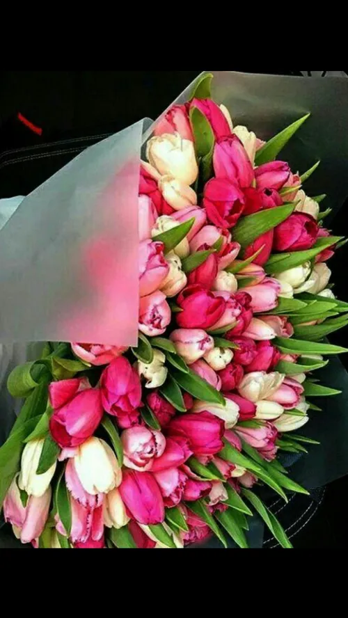 تنفس = شروع زندگیست🌸 💕 🌸