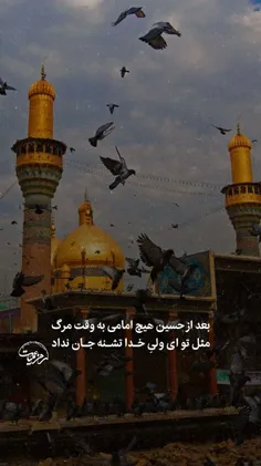 بعد از حسین هیچ امامی به وقت مرگ