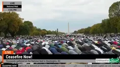 💠برپایی نماز جماعت باشکوه توسط معترضان مقابل کاخ سفید + ویدئو....💠