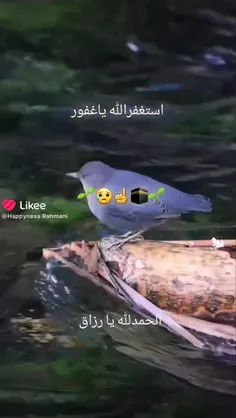 او ذاتی لک بخشی هست