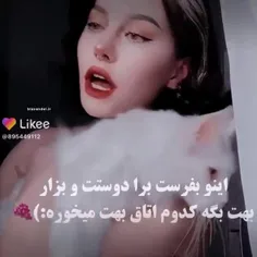 فقط اتاق 1