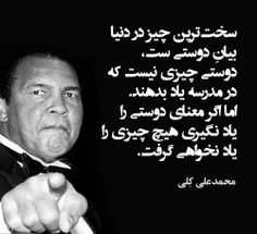 محمد علی کلی