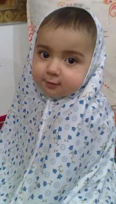 فدات شم خوشکلم