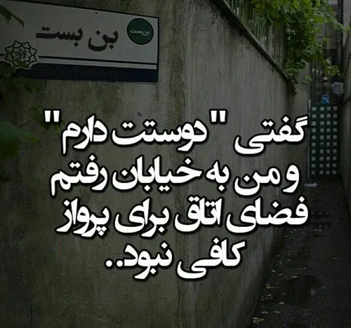 دلتنگ نشدی