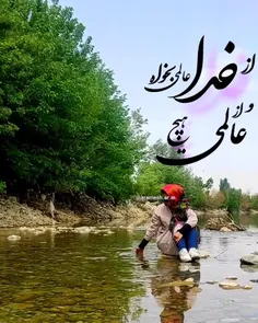 گوشم همه بر قولِ نِی و نغمهٔ چنگ است