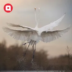 چه دیر آمدی و من اینک به دلتنگی‌ات عاشق...