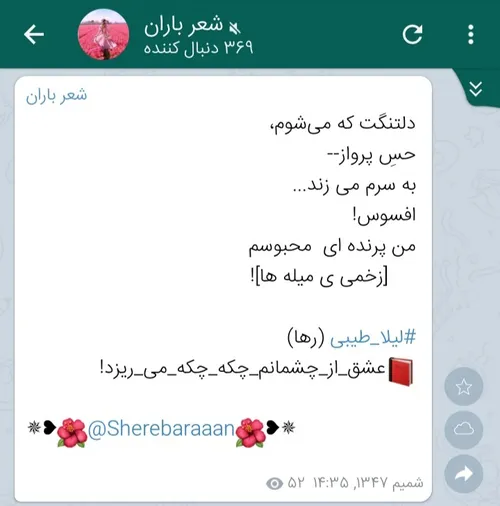 سعید فلاحی