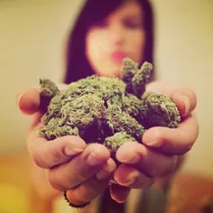 #marijuana
