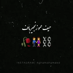 mamad202 43971366