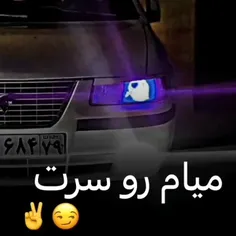 تو اگه گرگم باشی عقاب میشم میام بالای سرت😈😈