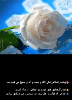 reyhaneh14 70920623