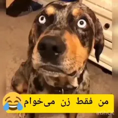 من فقط زن می خوام 😂😂😂😂😂