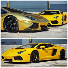 Gold or Yellow?!