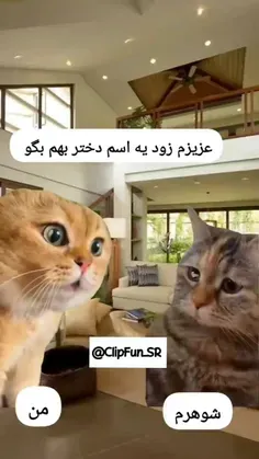 یه میم جذاب از این دوتا ترند روز💗