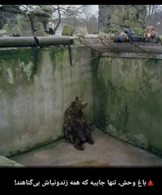 باغ وحش تنها زندانی که تمام‌ اسیرانش بیگناه هستن 