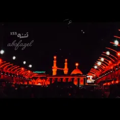 teshne133 73924894