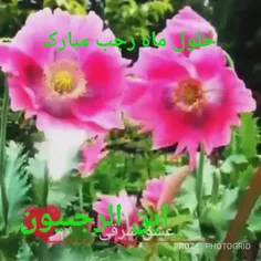 ماه رجب مبارک