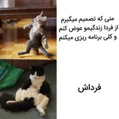 توروخدا بگید که تنها نیستم😂: