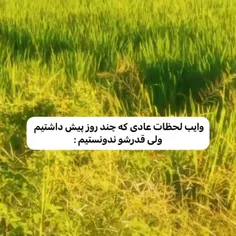 واقعا 🤌🏻
