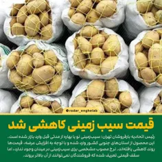 قیمت‌ سیب زمینی کاهشی شد