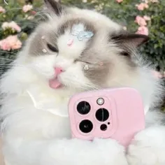 .★/(,")\💖🎀(".)★★