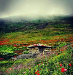 #ایران زیبا 