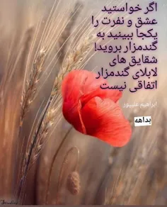 #خاص #wallpaper #FANDOGHI #لباس #مد #جذاب #کیف #مجلسی #دخ