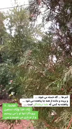 بسیار زیبا