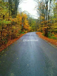 : باز باران...اما کو ترانه؟؟؟