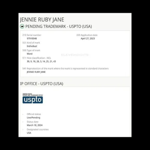 نام تجاری JENNIE RUBY JANE در سامانه تجاری ایالات متحده ت