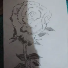 نقاشی گل