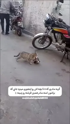 مادر بودن به روایت... 