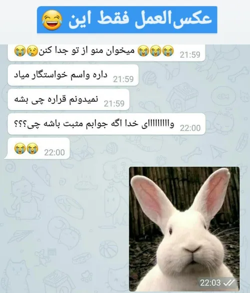 اگه جوابم مثبت باشه چی 🤔🤔🤔🤔