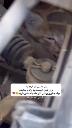 اخهههه چقدر نازه 