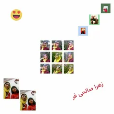 زهرا صالحی فر 