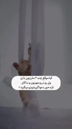 کیا اینجورین🗿😅؟