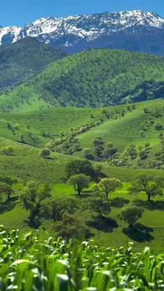 لرستان زیبا