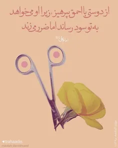 حدیثی زیبا از مولا امیرالمومنین على عليه السلام: 🌺🍃