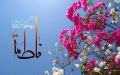 8. قال ابو عبدالله - علیه السّلام - : لِفاطمةَ - سلام الل